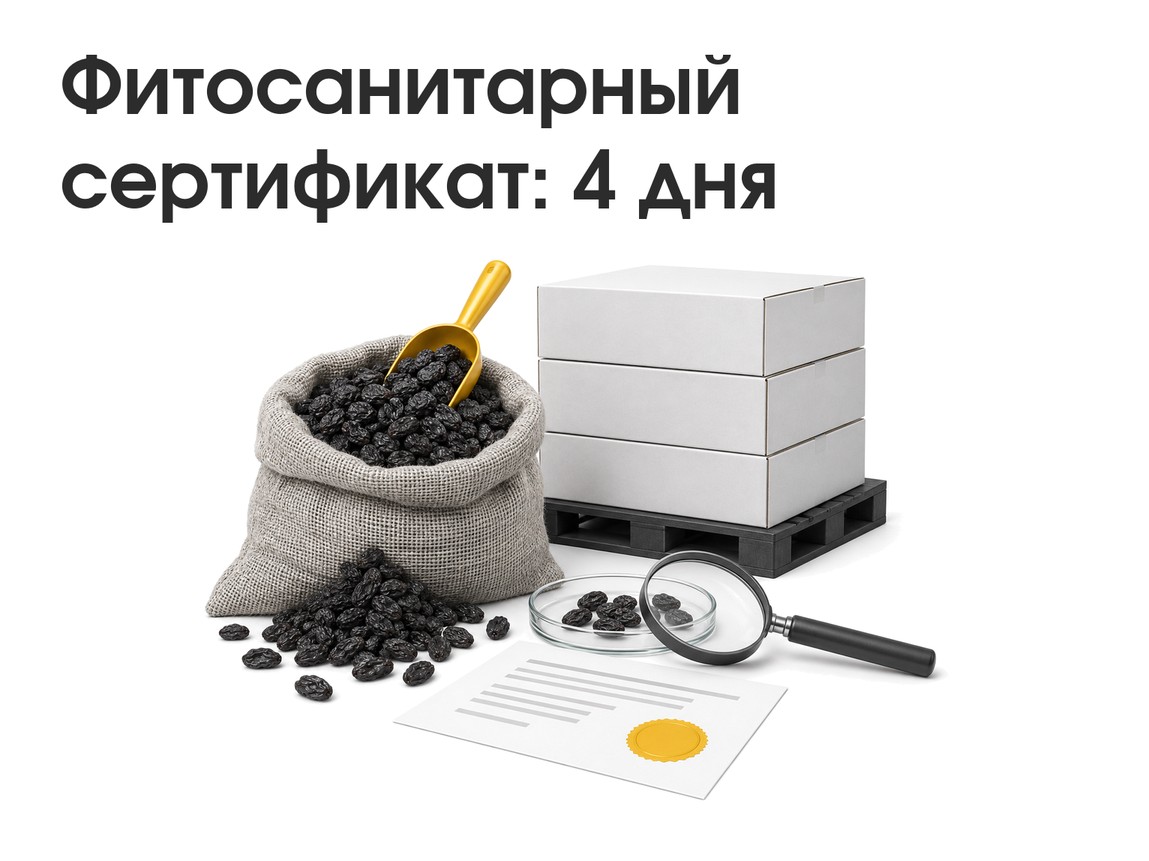 Фитосанитарный сертификат: как получить и сколько это занимает. Кейс: 4 дня вместо 14
