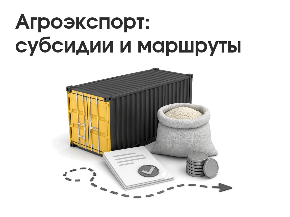 Субсидии для переориентации агроэкспорта: что меняется для экспортеров зерна и масла